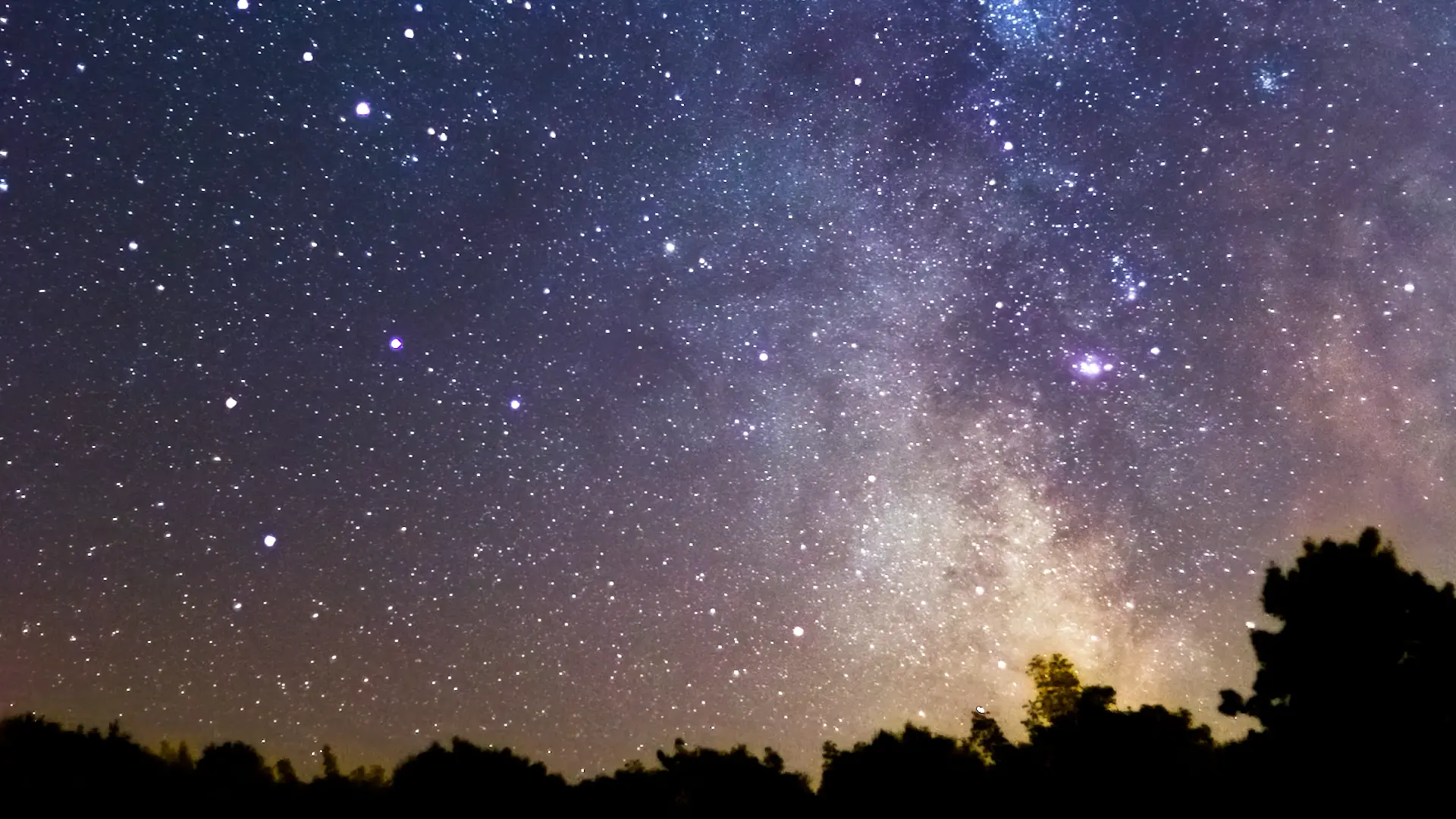 A dazzling starry night sky and the Milky Way above a silhouetted treeline