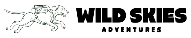 Wild Skies Adventures logo